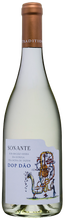Load image into Gallery viewer, NEW Casa Américo Sonante white wine, DOP Dão 2023