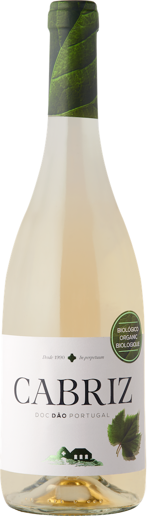NEW - CABRIZ  Dao DOC- White 2020 (13%) ORGANIC